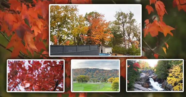 কানাডায় শরতের আবহ